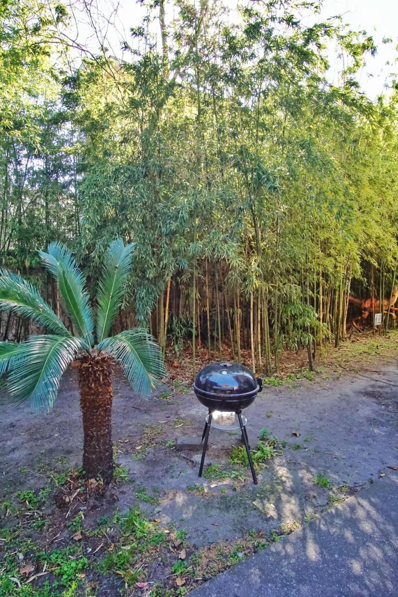 Massive 9bdr Courtyard Estate Near Forsyth Park Savannah
